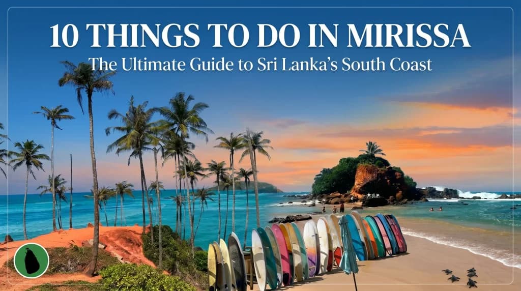 The Best Things to Do in Mirissa (From Sunrise to Sunset)